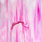 Metamorfosis — IV
